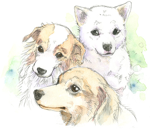 買い超特価 犬の絵 絵画/タペストリ